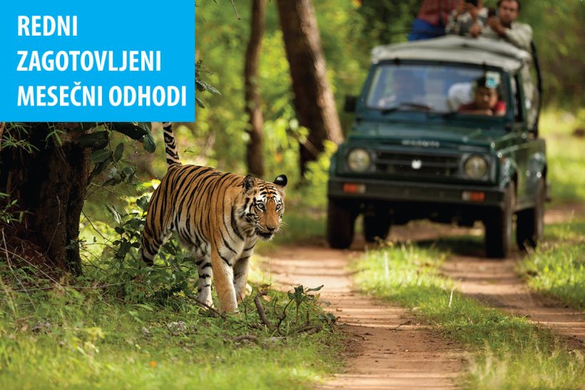 Hisa Potovanj Individualci Barviti Radzastan 9 10