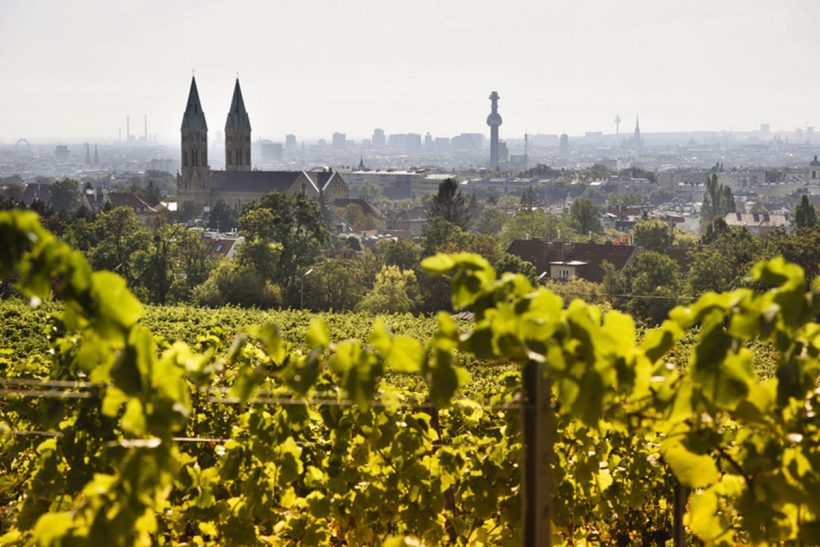 Hisa Potovanj Avstrija Dunaj 017 Martinovo