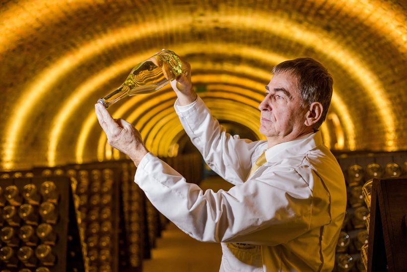 Hisa Potovanj Avstrija Dunaj 023 Vinska Klet Martinovo